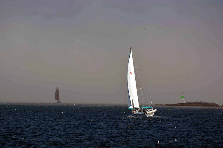 sailboats